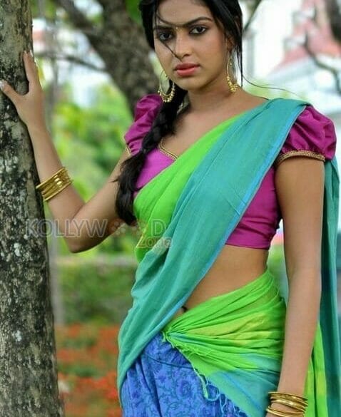 Amala Paul, Vijay remained silent in Court