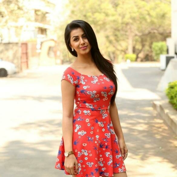 Nikki Galrani – A Talented Diva