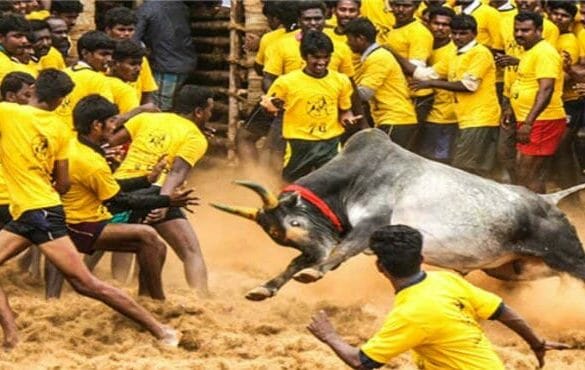 Tollywood actors voice for Jallikattu
