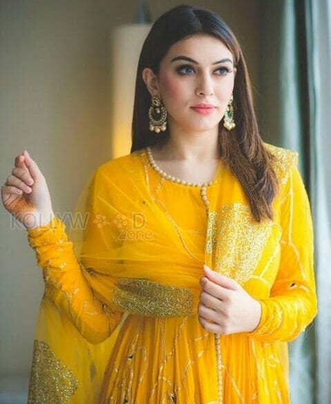Hansika Motwani desires to act in good story movies
