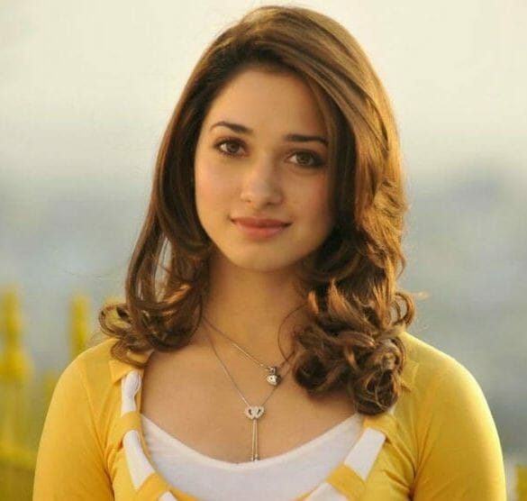 Tamannah busy only in Kollywood industry