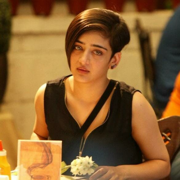 Will Rajesh M Selva’s upcoming film star Akshara Haasan as the love interest of Vikram?