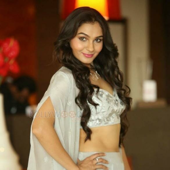 Andrea Jeremiah to become a Princess