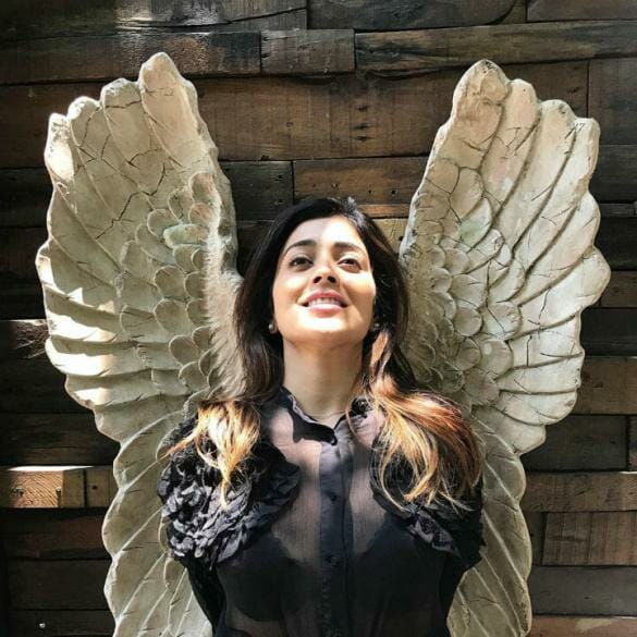 Shriya Saran dances in front of nude portrait; gets slammed