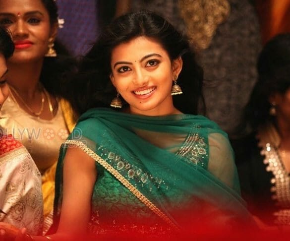 Anandhi to be paired with Bollywood actor!