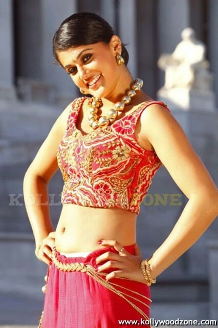 Aadukalam Heroine Tapsee Photo