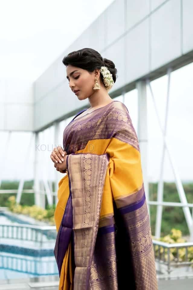 Actress Aishwarya Lekshmi in a Traditional Silk Saree Photos 04