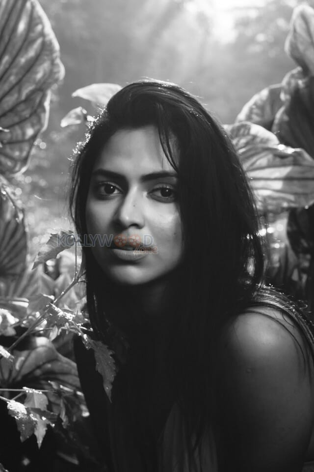 Actress Amala Paul New Photo Shoot Pictures