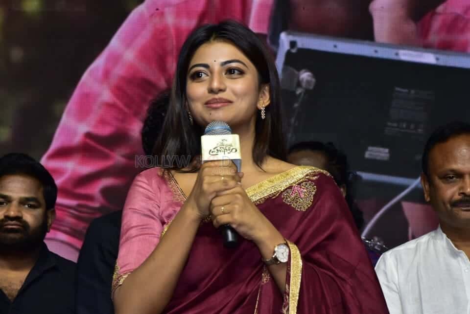 Actress Anandhi at Itlu Maredumilli Prajanikam Pre Release Event Photos 02