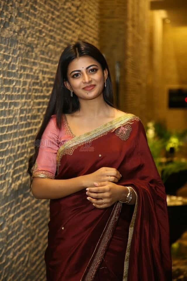 Actress Anandhi at Itlu Maredumilli Prajanikam Pre Release Event Photos 10