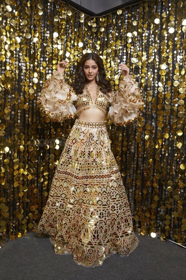 Actress Ananya Panday in a Glittering Dress Photo 01