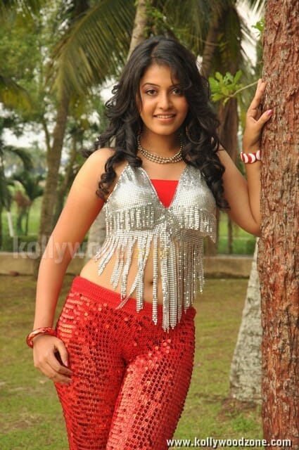 Actress Anjali Sexy Pictures In Maharaja Movie