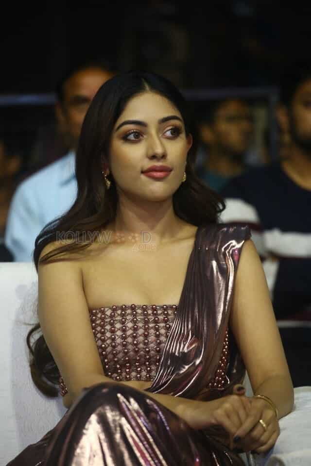 Actress Anu Emmanuel at Urvasivo Rakshasivo Movie Celebrations Photos 01