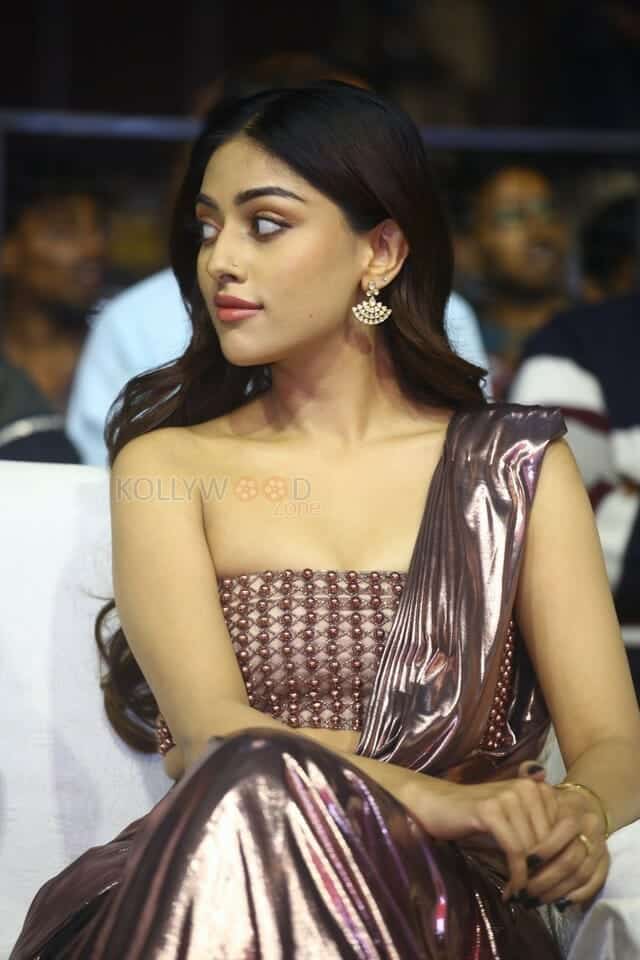 Actress Anu Emmanuel at Urvasivo Rakshasivo Movie Celebrations Photos 03