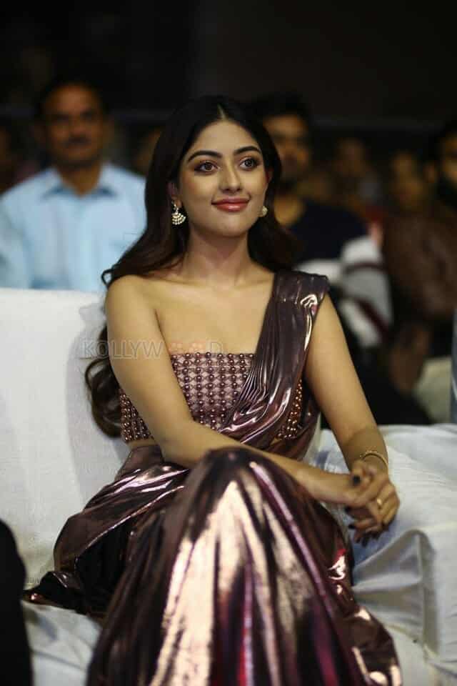 Actress Anu Emmanuel at Urvasivo Rakshasivo Movie Celebrations Photos 05