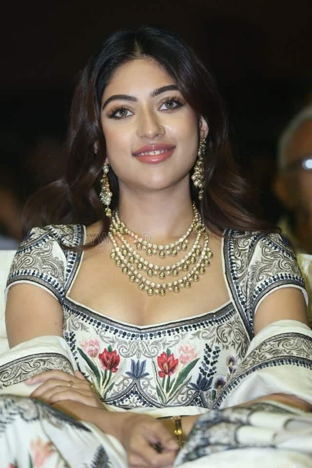 Actress Anu Emmanuel at Urvasivo Rakshasivo Movie Pre Release Event Stills 03