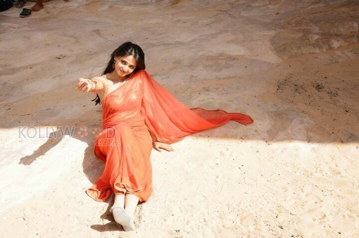 Actress Anushka Hot Saree Pictures