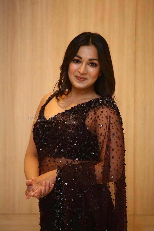 Actress Catherine Tresa at Bhala Thandhanana Pre Release Event Photos 15