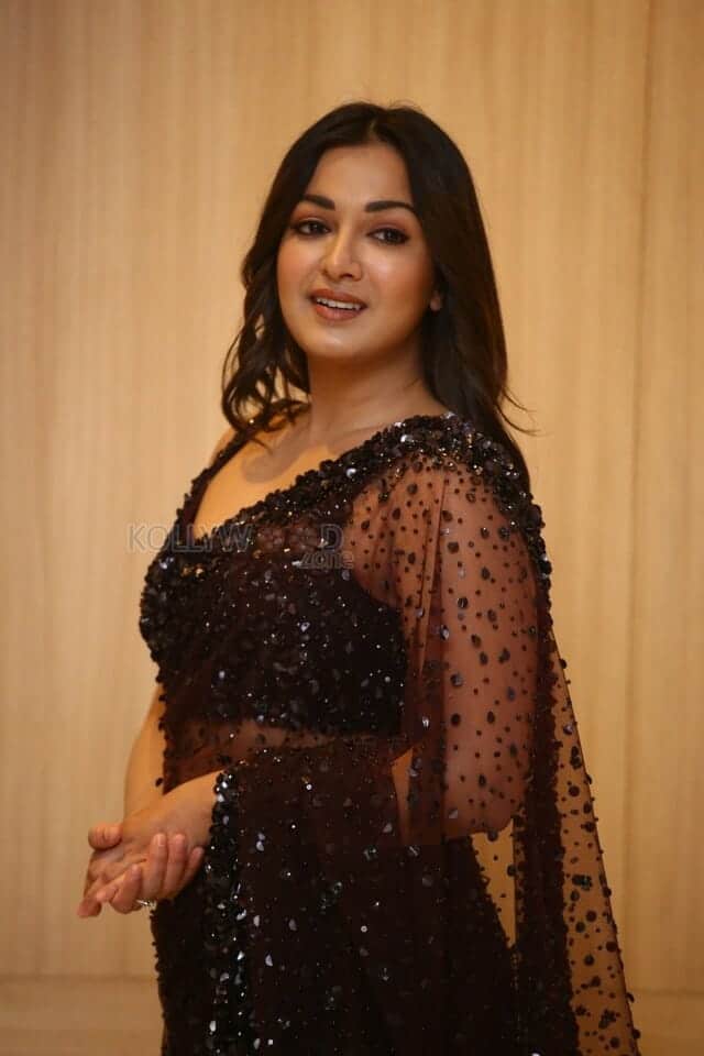 Actress Catherine Tresa at Bhala Thandhanana Pre Release Event Photos 16