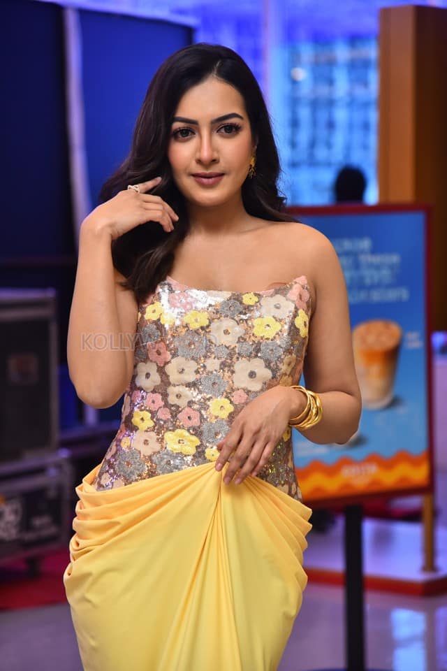 Actress Catherine Tresa at Phani Movie Press Meet Photos 05