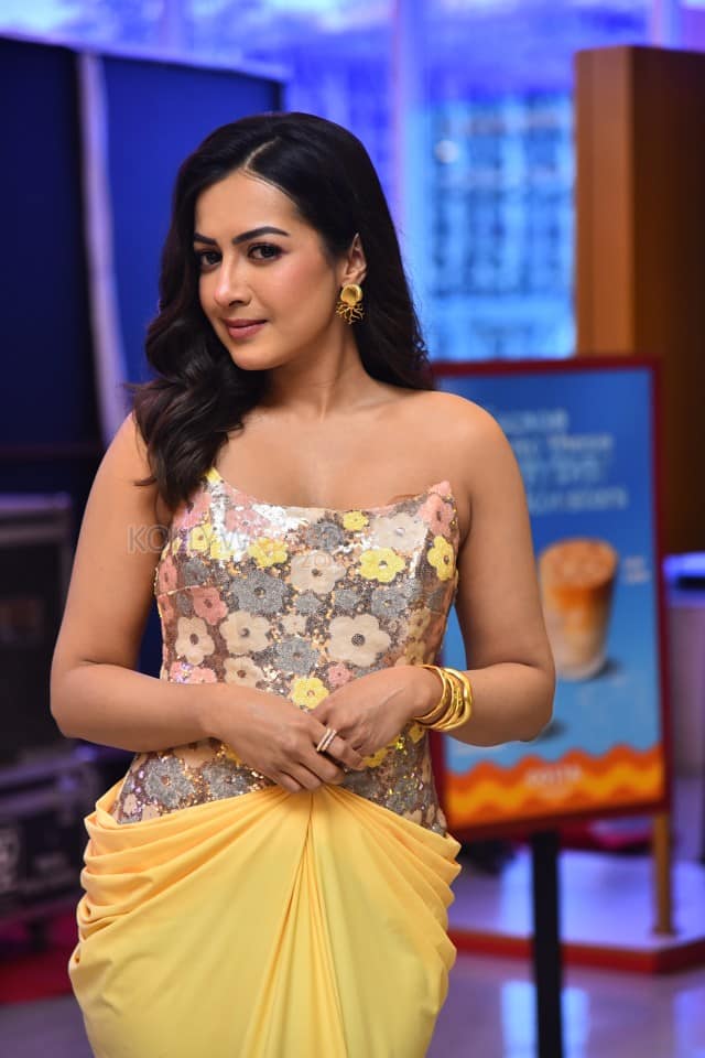 Actress Catherine Tresa at Phani Movie Press Meet Photos 08