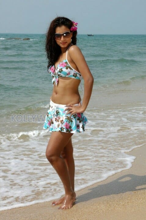 Actress Dimple Chopade Bikini Photos