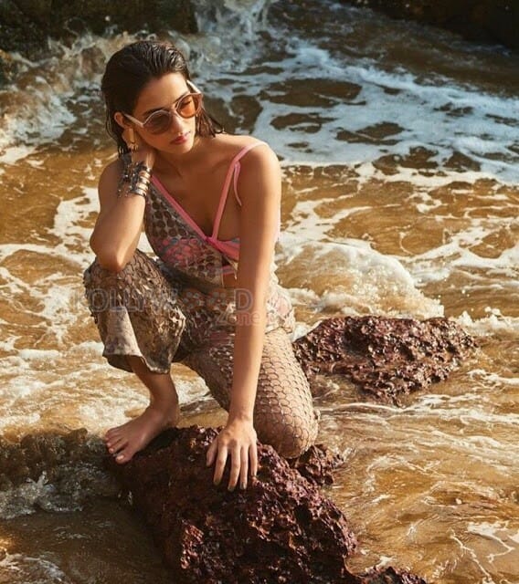Actress Disha Patani Hot Spicy Photos