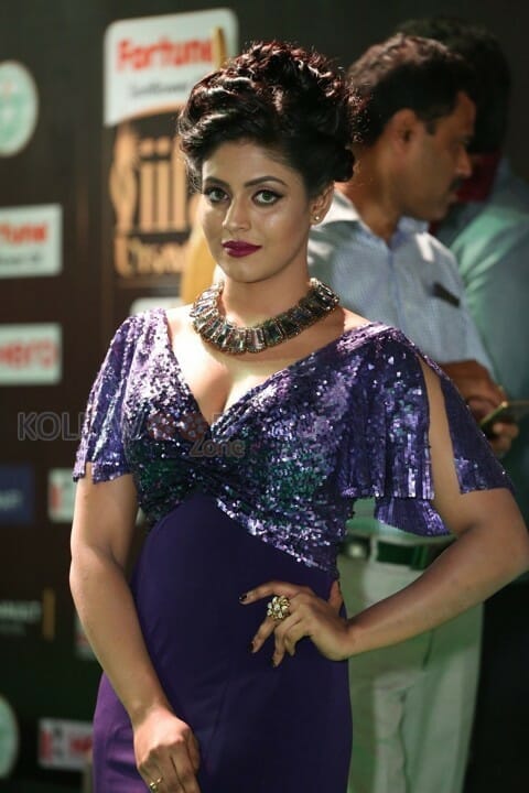 Actress Ineya At Iifa Utsavam Event Pictures