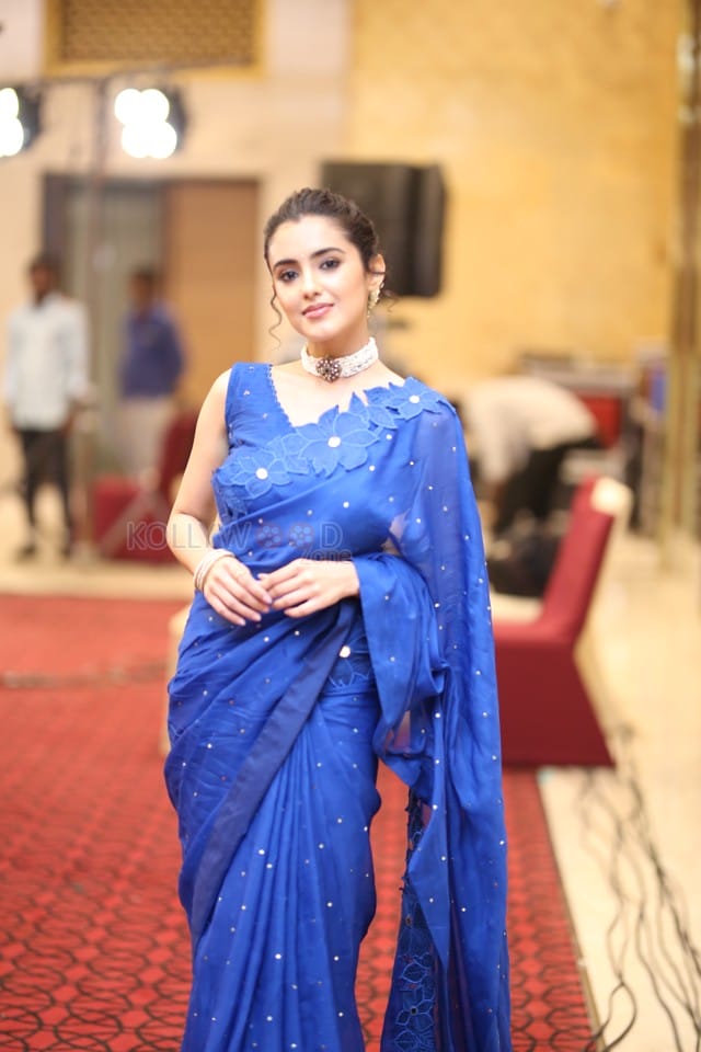 Actress Malvika Sharma at Bhimaa Movie Thanks Meet Photos 23