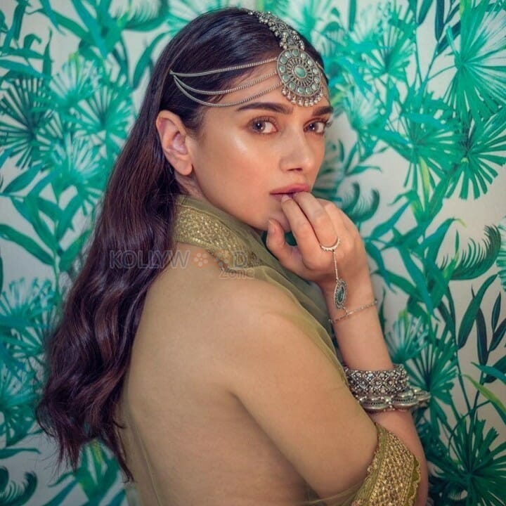 Actress Model Aditi Rao Hydari Hot Sexy Photos