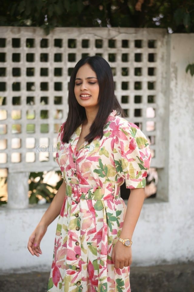 Actress Nandita Swetha Glam Pictures