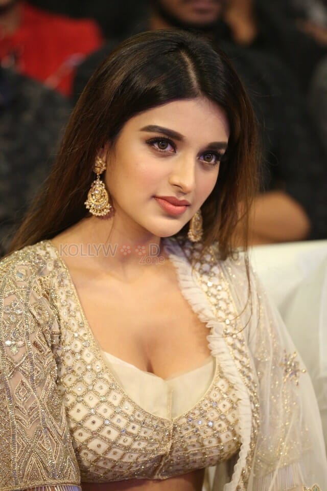 Actress Nidhhi Agerwal At Mr