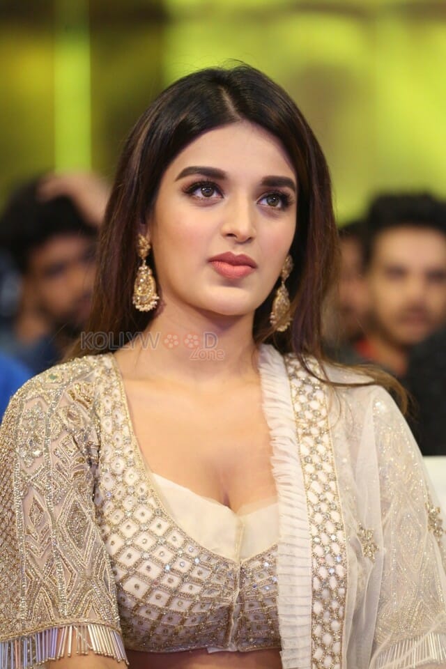 Actress Nidhhi Agerwal At Mr