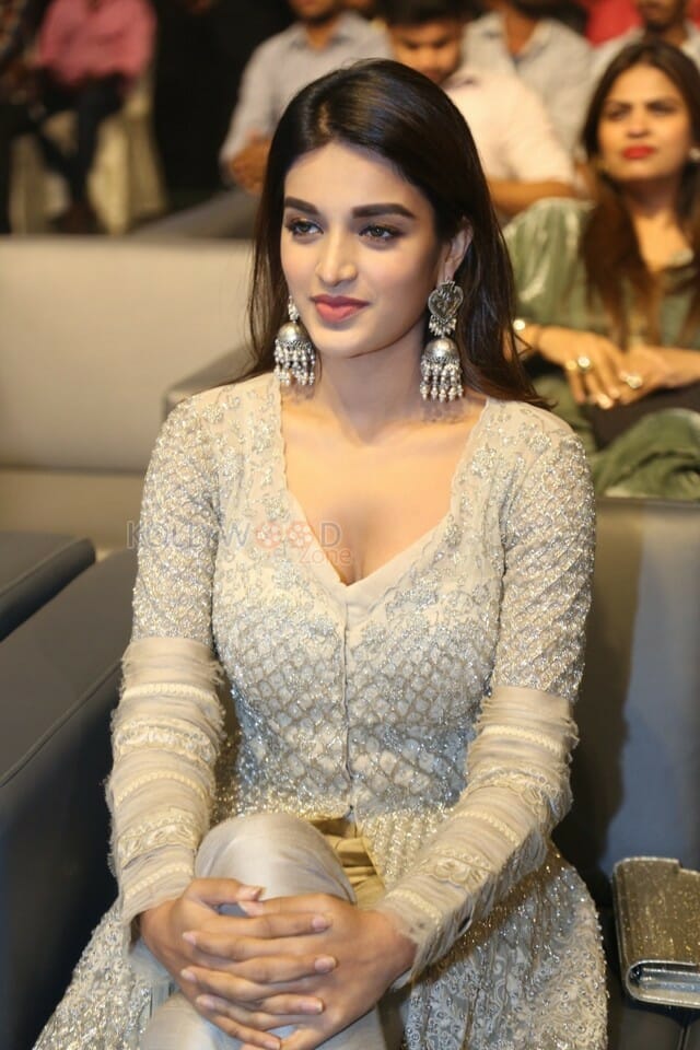 Actress Nidhhi Agerwal At Savyasachi Audio Pre Release Photos