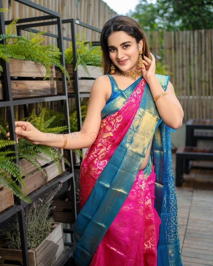 Actress Nidhhi Agerwal Silk Saree Photos
