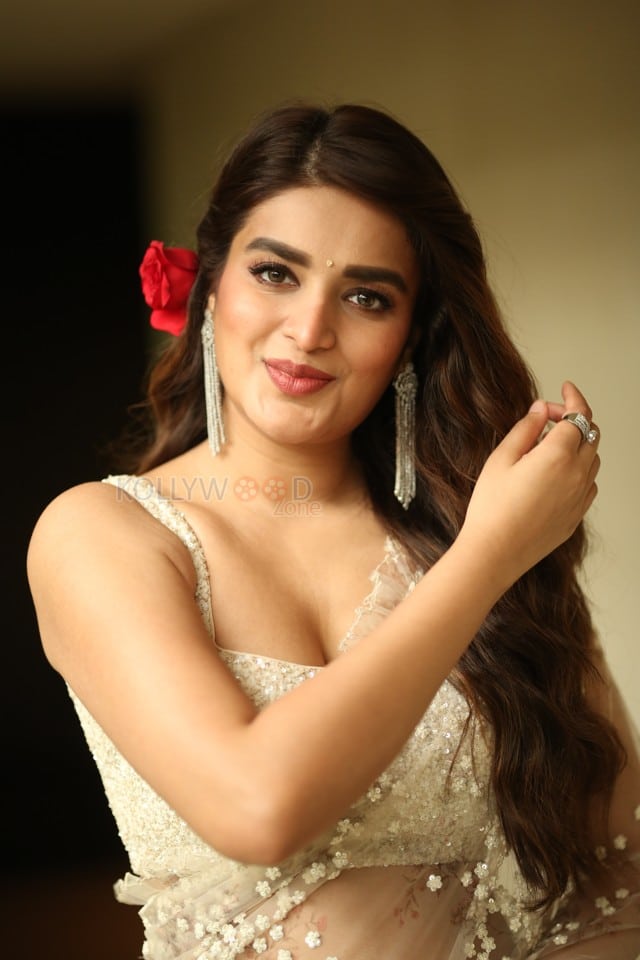 Actress Nidhhi Agerwal at Hari Hara Veera Mallu Movie Press Meet Photos 04