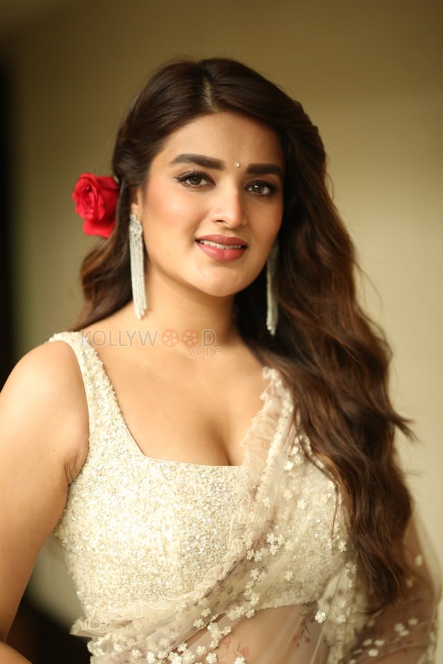 Actress Nidhhi Agerwal at Hari Hara Veera Mallu Movie Press Meet Photos 11