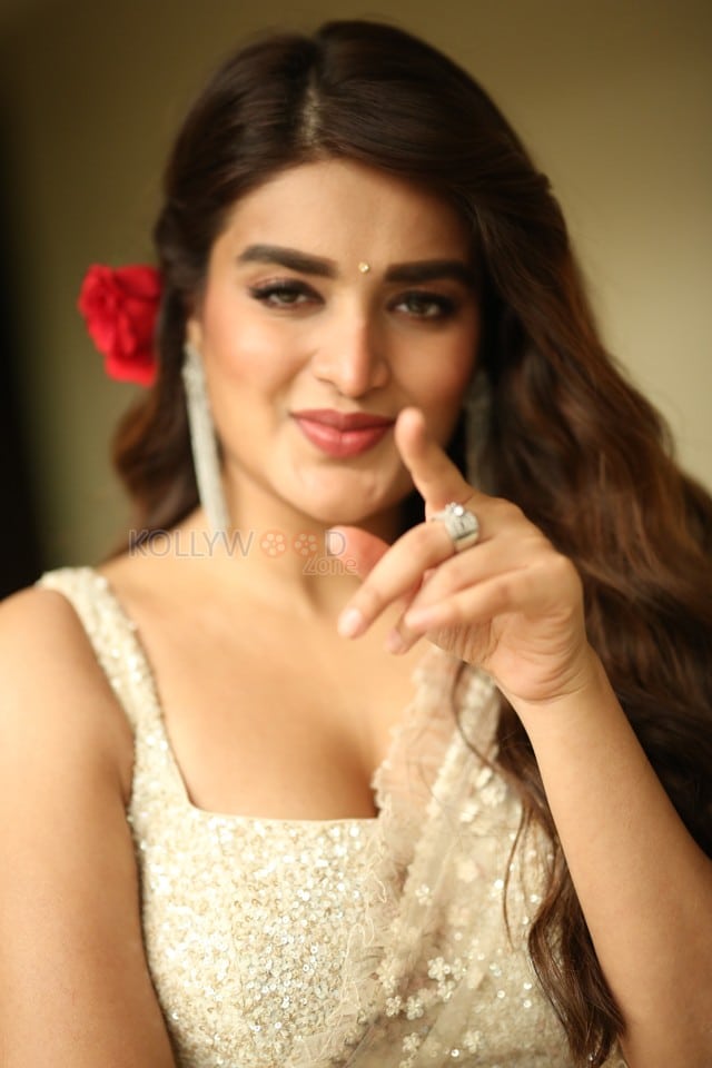 Actress Nidhhi Agerwal at Hari Hara Veera Mallu Movie Press Meet Photos 15