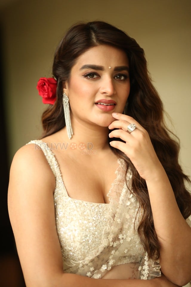 Actress Nidhhi Agerwal at Hari Hara Veera Mallu Movie Press Meet Photos 17