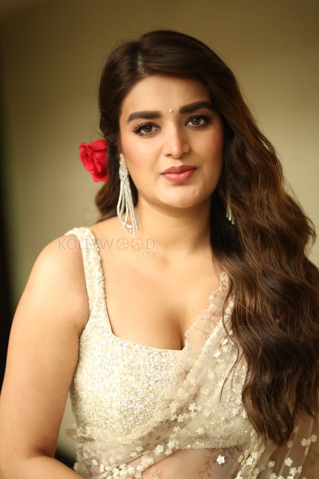 Actress Nidhhi Agerwal at Hari Hara Veera Mallu Movie Press Meet Photos 18