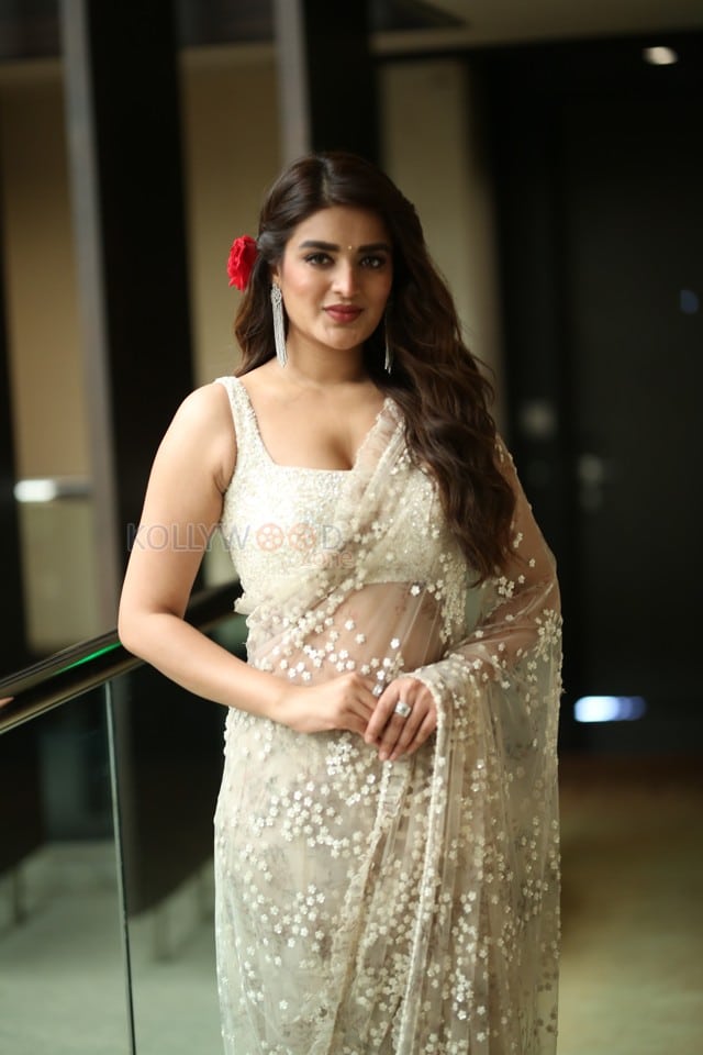 Actress Nidhhi Agerwal at Hari Hara Veera Mallu Movie Press Meet Photos 27