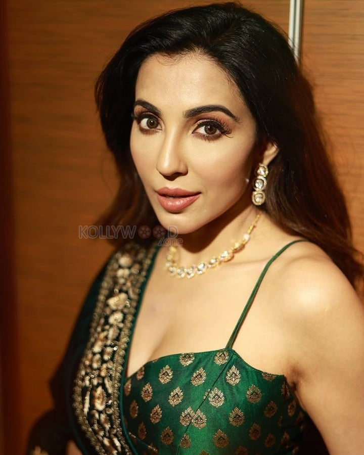 Actress Parvati Nair in a Gold Embroidered Green Blouse and Black Dupatta Photos 06