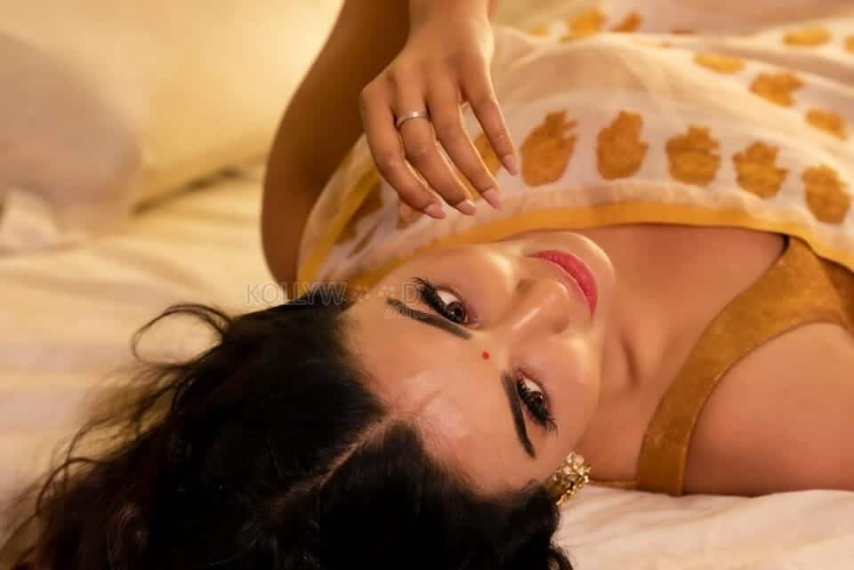 Actress Parvati Nair in a Seductive Saree Photoshoot Pictures 01