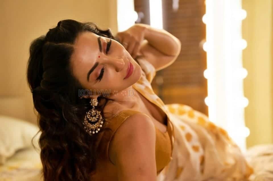 Actress Parvati Nair in a Seductive Saree Photoshoot Pictures 03