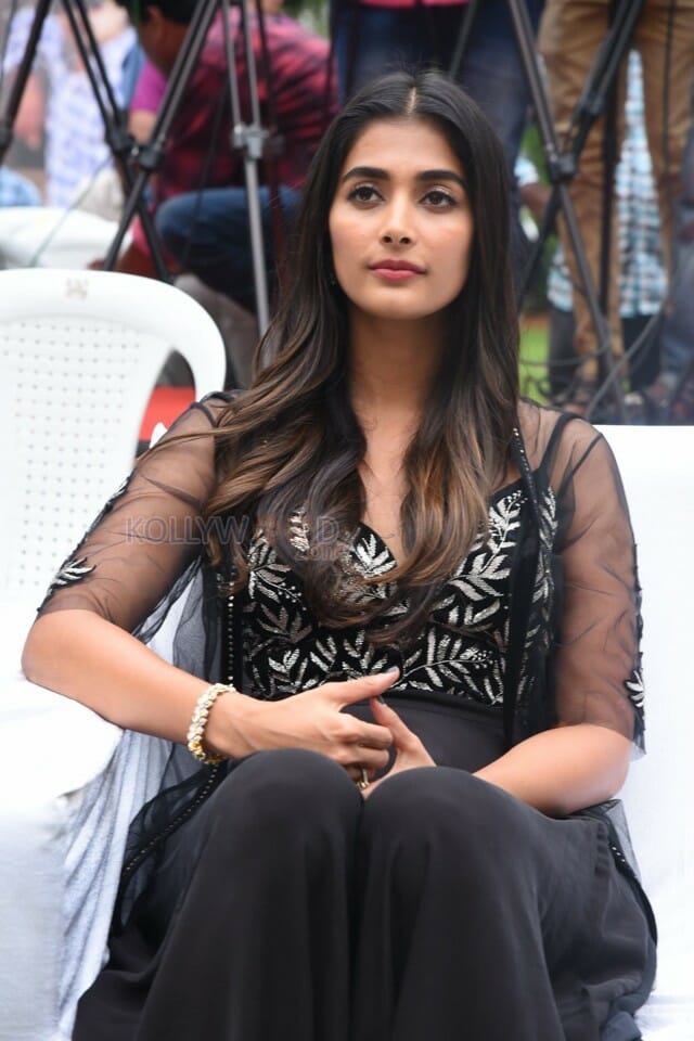 Actress Pooja Hegde At Valmiki Press Meet Photos