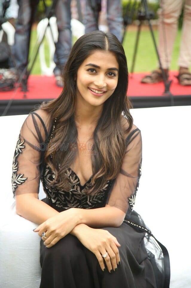 Actress Pooja Hegde At Valmiki Press Meet Photos