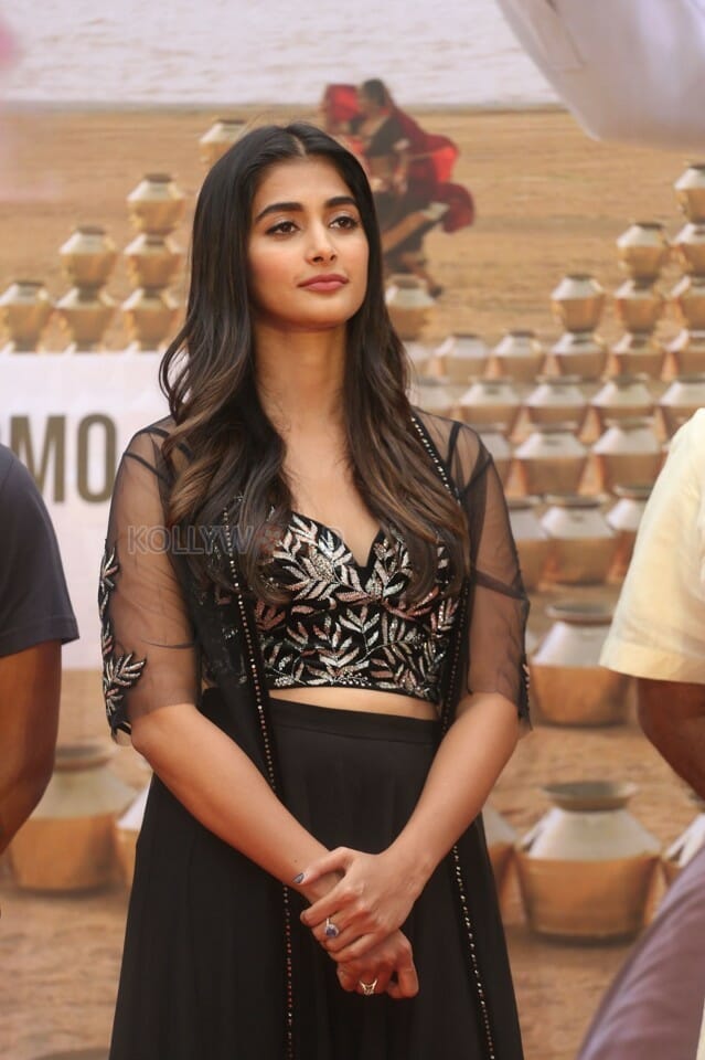 Actress Pooja Hegde At Valmiki Press Meet Photos