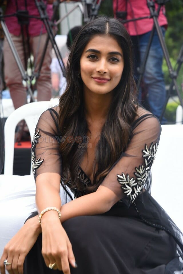 Actress Pooja Hegde At Valmiki Press Meet Photos