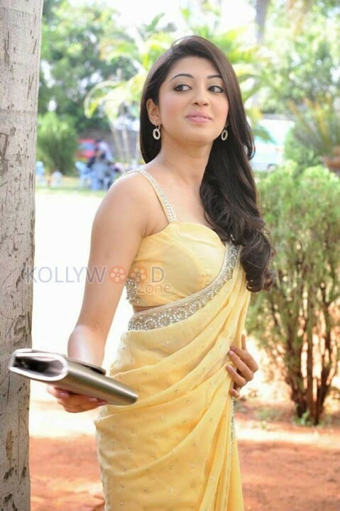 Actress Pranitha Sexy Saree Pics