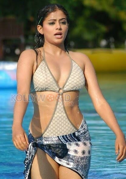 Actress Priyamani Hot Bikini Photos